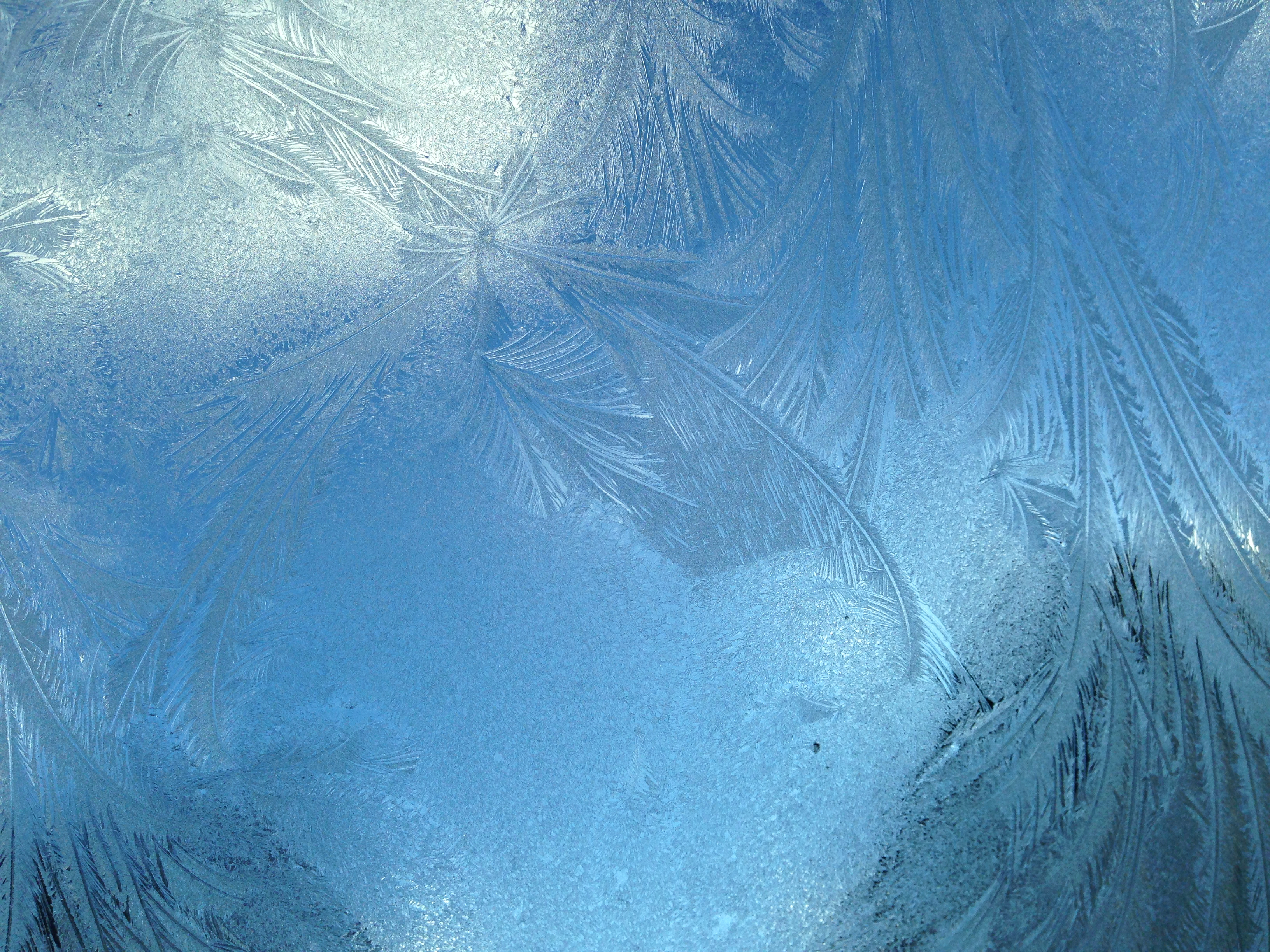 Linea di Refrigerazione